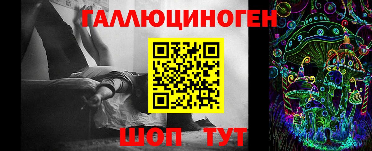 Псилоцибиновые грибы Psilocybine cubensis Кимовск